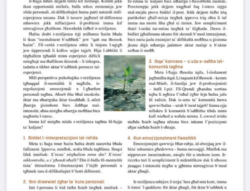 Resilience/Ir-Reziljenza